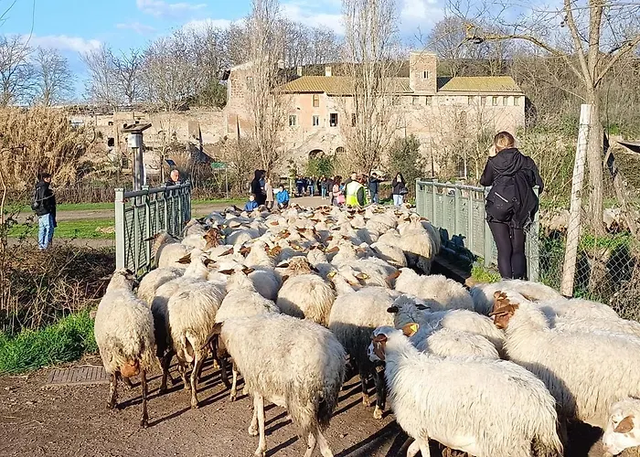 Appartamento Casa Mia Metro A 100mt